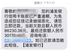 迭部要账公司更多成功案例详情